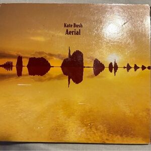 Aerial Album Art Print - Yellow and Brown